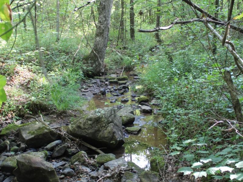 Fun Land, No Restrictions, Creek : Dennard : Van Buren County : Arkansas