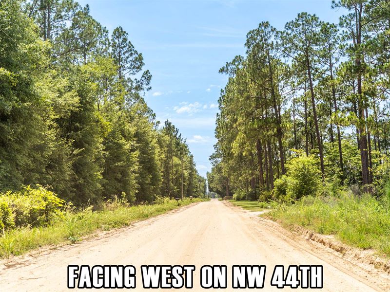 20 Pct Down, Countryside Scenery : Jennings : Hamilton County : Florida