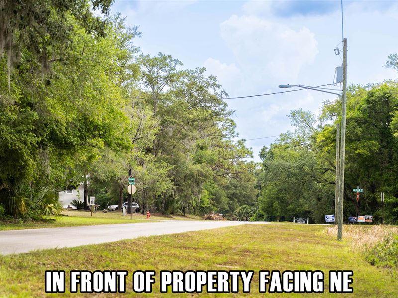$3,900 Down Owner Finance, Paved Rd : Bronson : Levy County : Florida