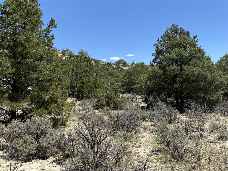 13.79 Acres in Cuba, New Mexico : Cuba : Sandoval County : New Mexico