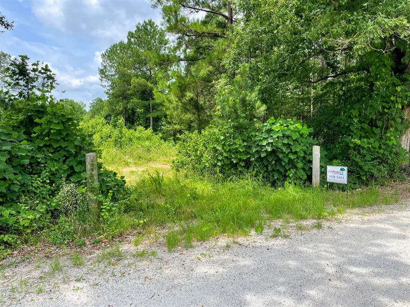 17 Acres in New Site : Alexander City : Tallapoosa County : Alabama