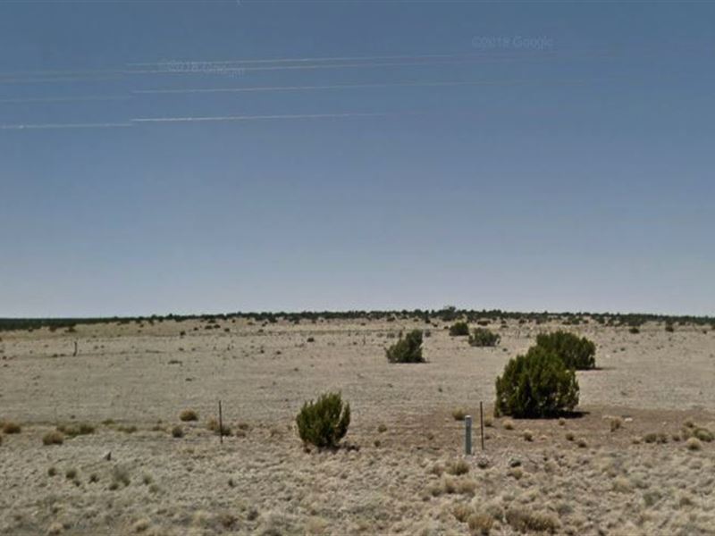 Magnificent 0.97 Ac, Apache County : Saint Johns : Apache County : Arizona