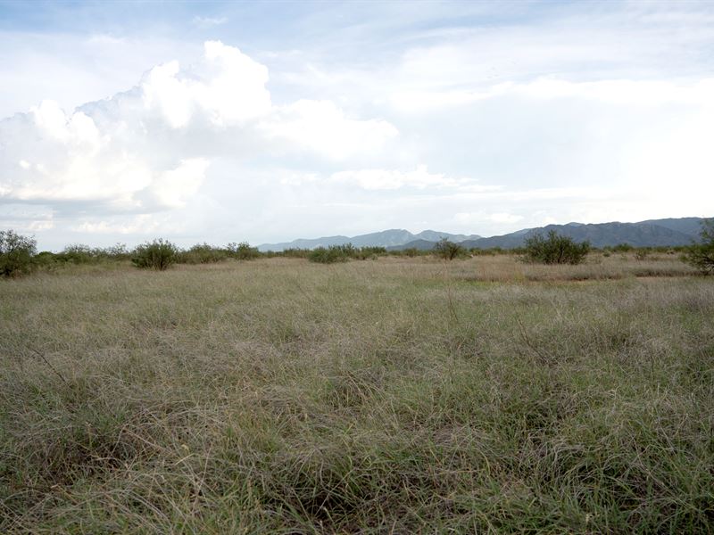The Genuine Jewel of Az, 1.18 Ac : Cochise : Cochise County : Arizona