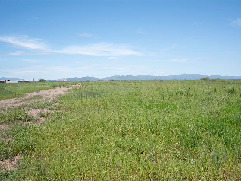 A Land is Worth a Million Words, AZ : Douglas : Cochise County : Arizona