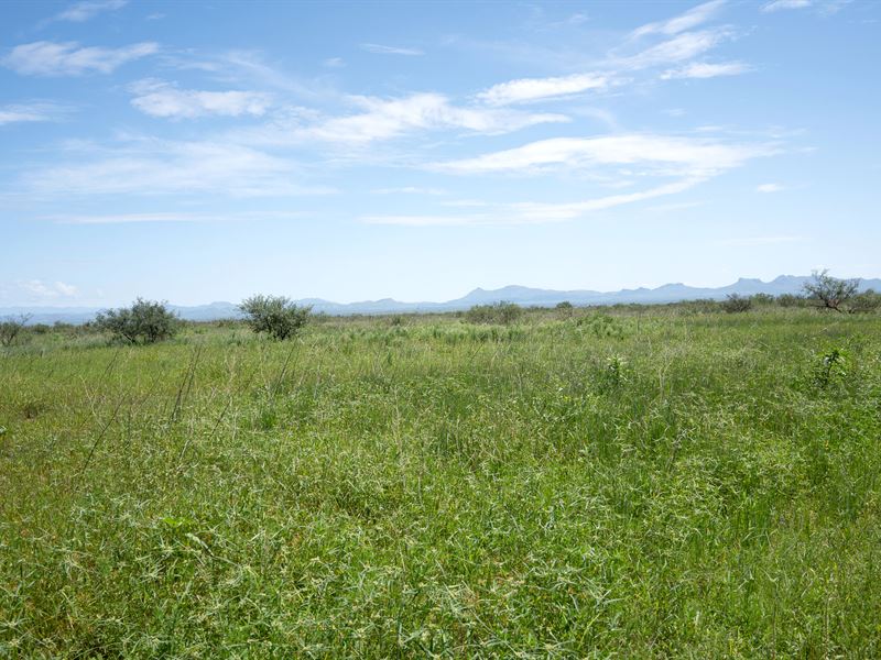 Sweet Corner 0.21 Ac Lot in Arizona : Douglas : Cochise County : Arizona