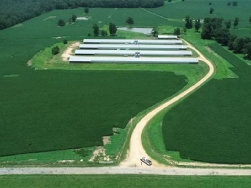 12 House Poultry Farm : Kokomo : Marion County : Mississippi