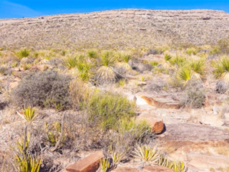 Double Your Pleasure in West Texas : Sierra Blanca : Hudspeth County : Texas