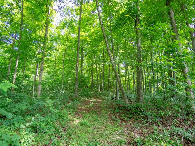 Cotterman Lane, 13 Acres, Ross Co : Londonderry : Ross County : Ohio