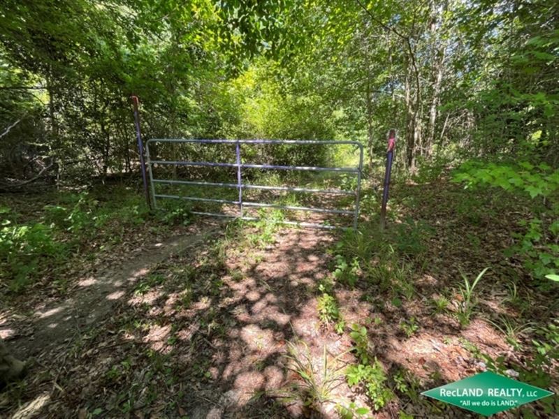 369 Ac, Duck & Deer Hunting : Lockhart : Union Parish : Louisiana