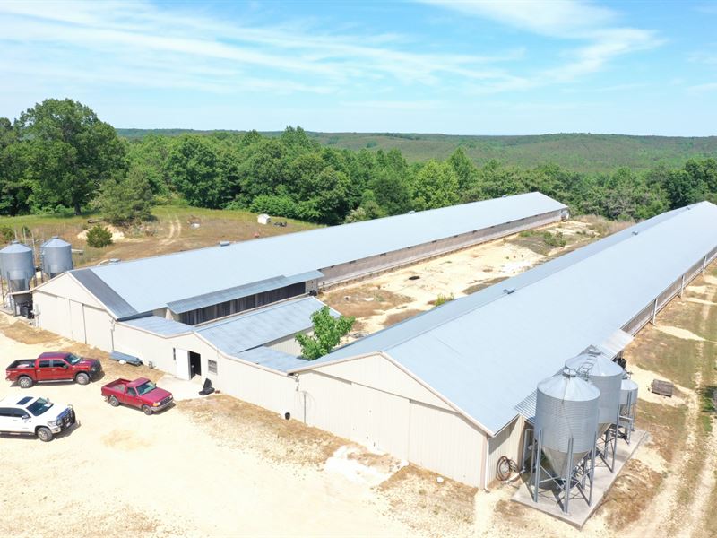 Bruns Breeder Farm : Hackleburg : Marion County : Alabama