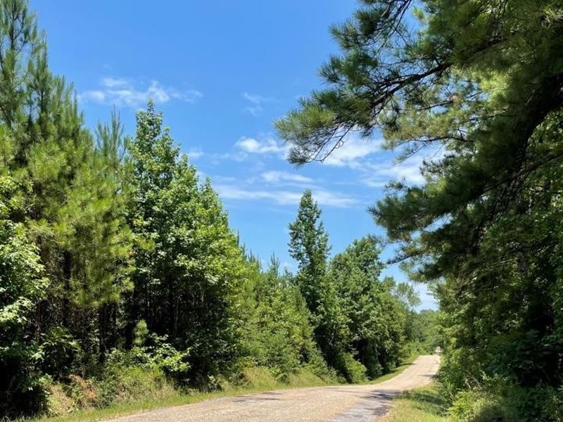 60 Acres in Jefferson Davis in Pren : Prentiss : Jefferson Davis County : Mississippi