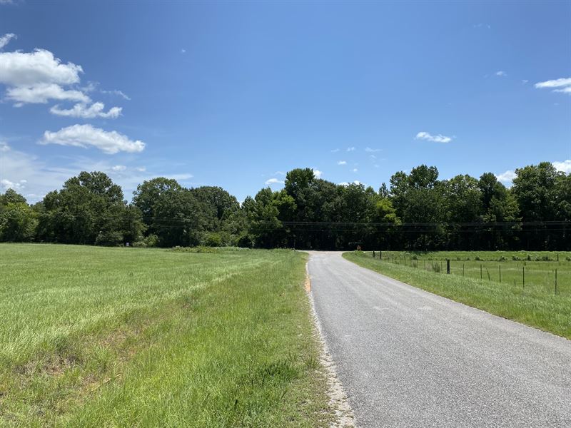 Historic Freedom Road Tract : Hayneville : Lowndes County : Alabama