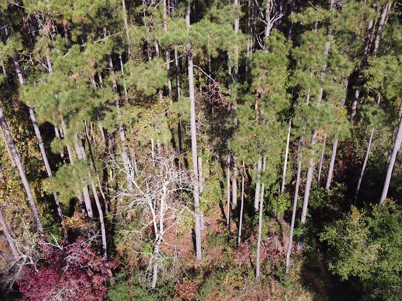 Lot Close To Intracoastal Waterway : Bolivia : Brunswick County : North Carolina