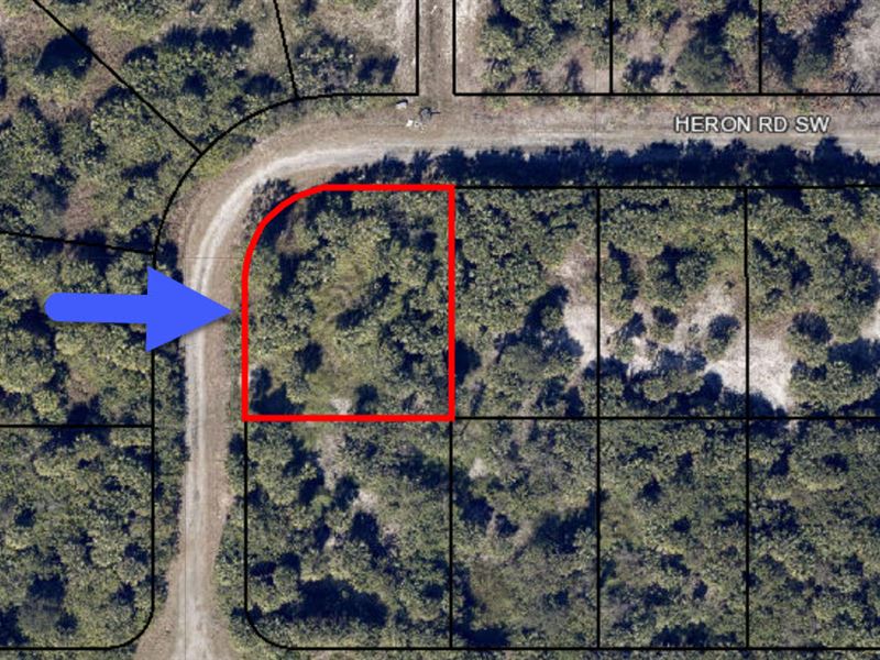 Affordable Big Corner Lot, Palm Bay : Palm Bay : Brevard County : Florida