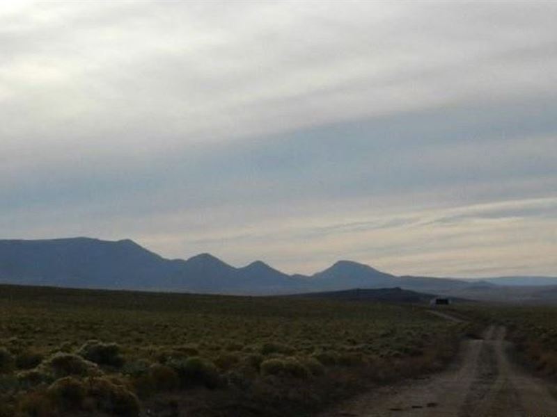 Is a Simpler Life Calling to You : Nance Blvd : Costilla County : Colorado