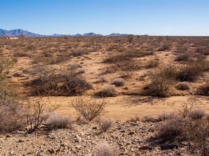 Have an RV, Mobile Home, or Build : Yucca : Mohave County : Arizona