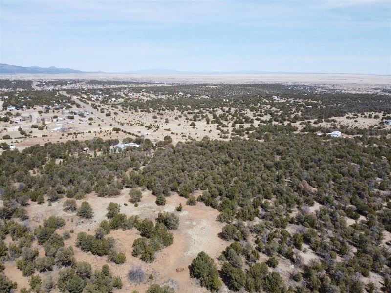 1 Acre Property in Edgewood, Power : Edgewood : Torrance County : New Mexico