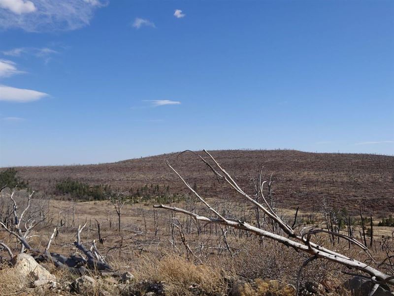 1.6 Ac Mountainous Desert Property : Estancia : Torrance County : New Mexico