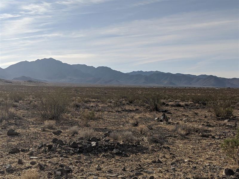 Off Grid with Electricity : Dolan Springs : Mohave County : Arizona