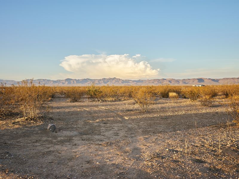 Lot with Beautiful Mountain Views : Golden Valley : Mohave County : Arizona