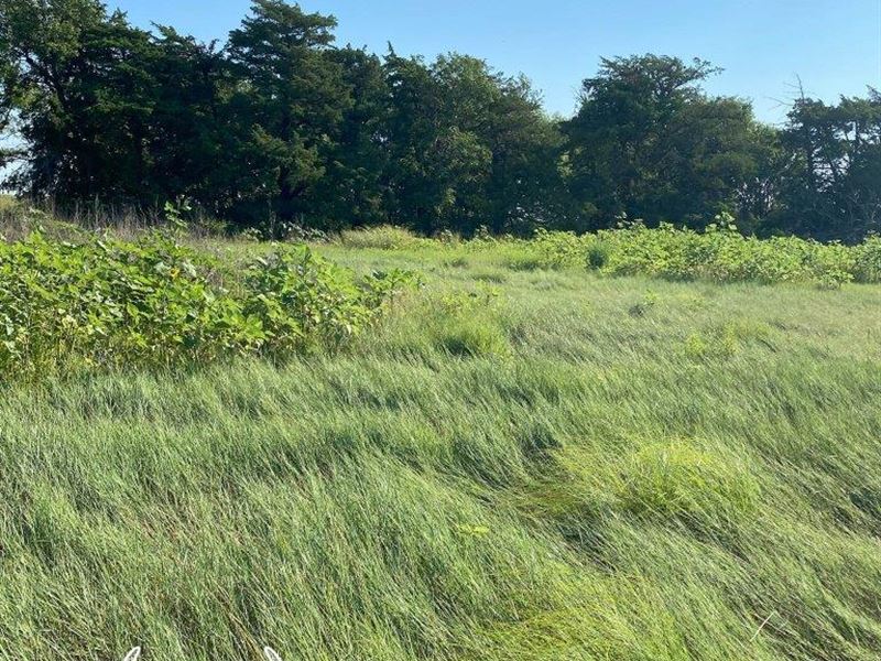 105 Acres M/L Meade County, Kansas : Fowler : Meade County : Kansas