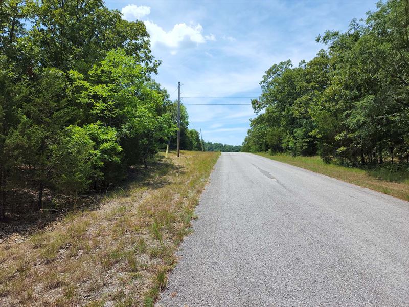 Walk to Diamond Lake, Will Finance : Horseshoe Bend : Izard County : Arkansas