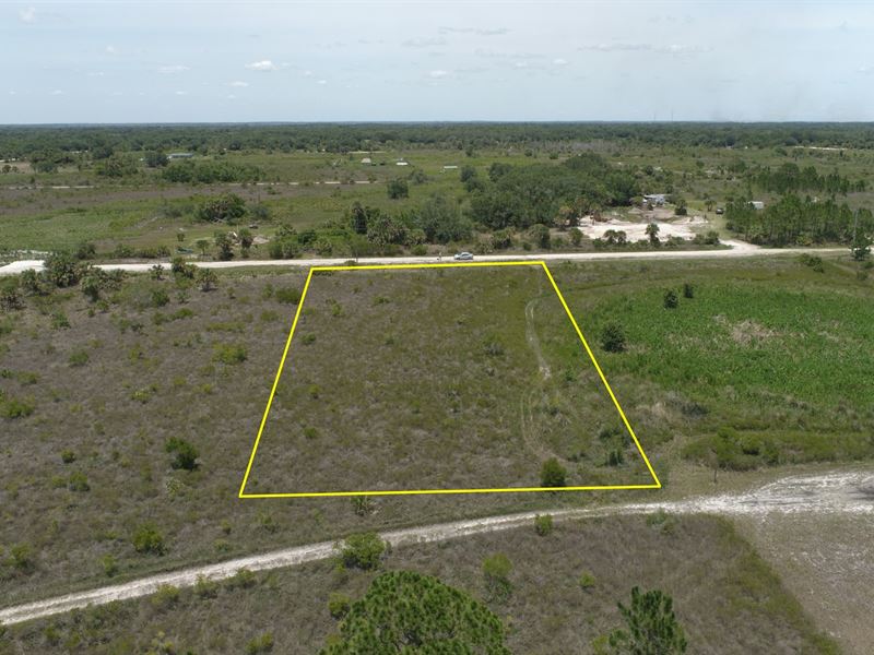 Clear 1.25 Acre Lot with Power : Okeechobee : Okeechobee County : Florida