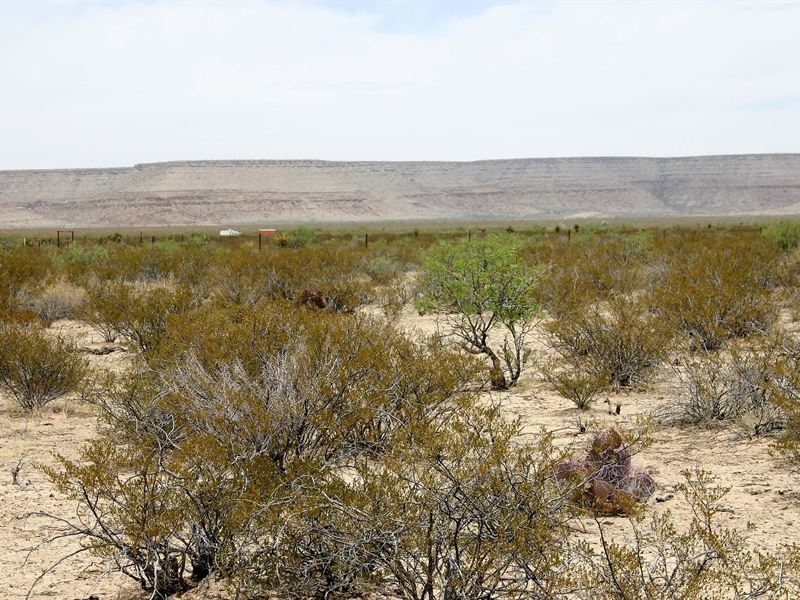 20 Acre Ranch to Call Your Own : Fort Hancock : Hudspeth County : Texas