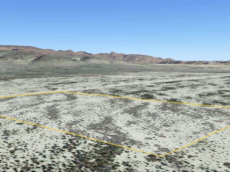 Starry Nights & Mountain Views : Terlingua : Brewster County : Texas