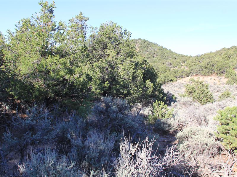 Escape to The Mountains : San Luis : Costilla County : Colorado