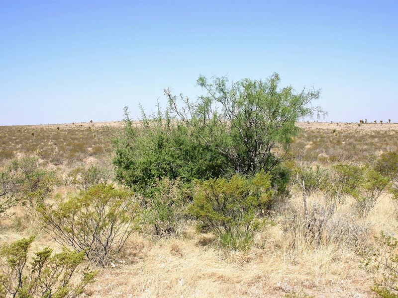 Beautiful TX 20 Acre Ranch Property : Sierra Blanca : Hudspeth County : Texas