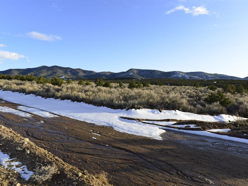 Escape The City & Enjoy Nature : Fort Garland : Costilla County : Colorado