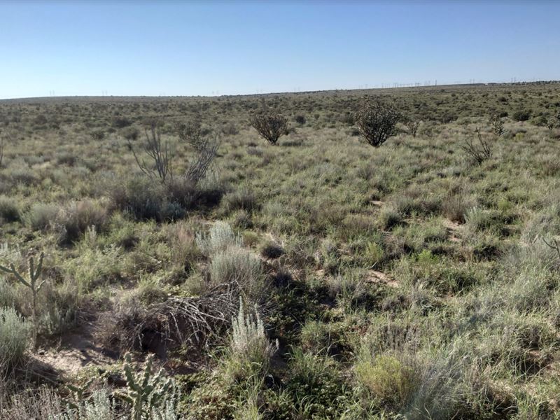 Enjoy Amazing Mountain Views : Sandoval : Sandoval County : New Mexico