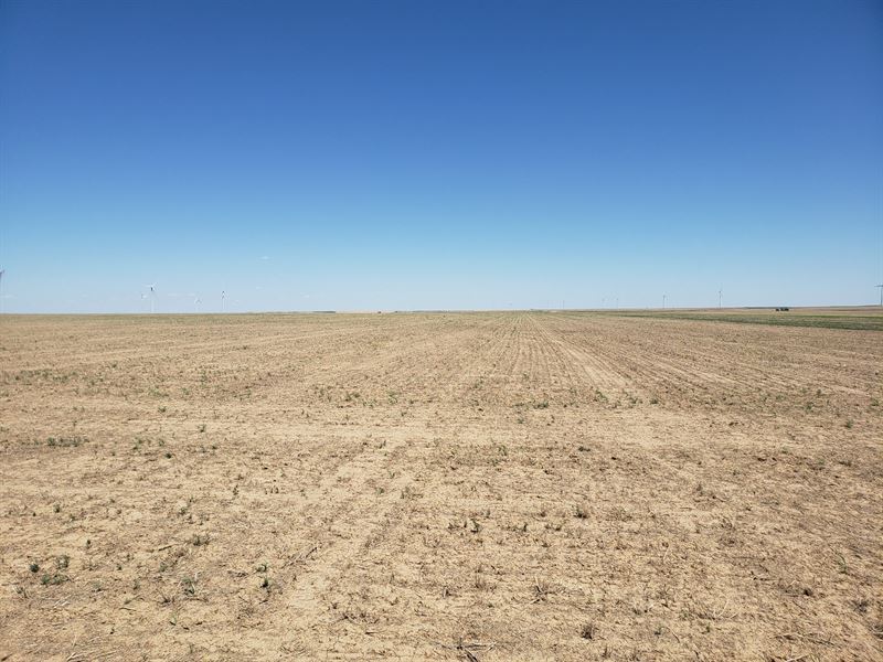 Borders Farms : Genoa : Lincoln County : Colorado