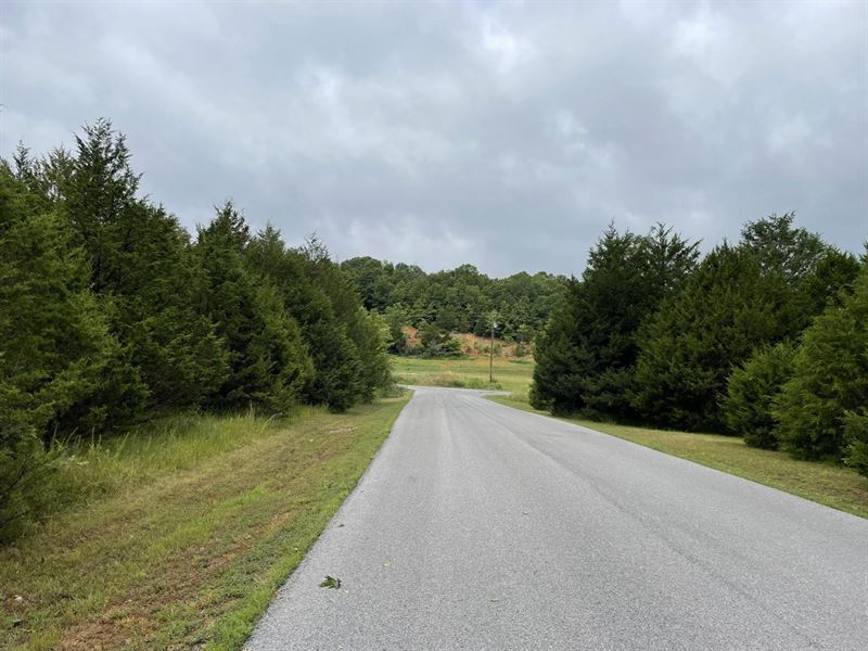 Lot Near Crown Lake, Horseshoe Bend : Horseshoe Bend : Izard County : Arkansas