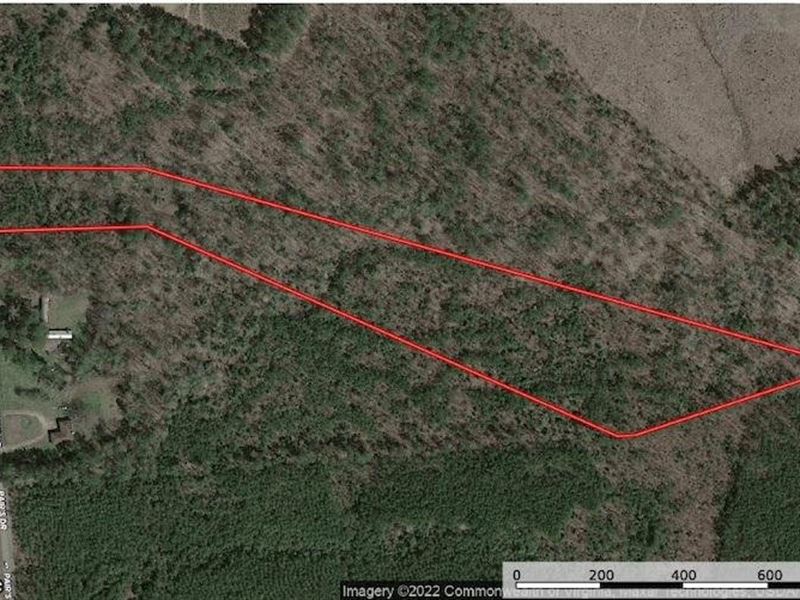 9.19 Acres of Res : Emporia : Brunswick County : Virginia
