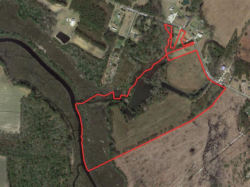 Reduced, 44.49 Acres of Recrea : Newport : Carteret County : North Carolina