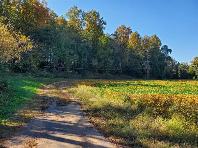 499 Acres Off Hwy 21, Hamptonvil : Hamptonville : Yadkin County : North Carolina