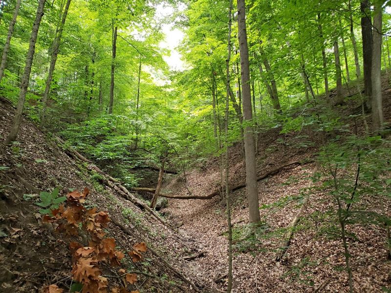 19 Acres in Cayuga, Indiana : Cayuga : Vermillion County : Indiana