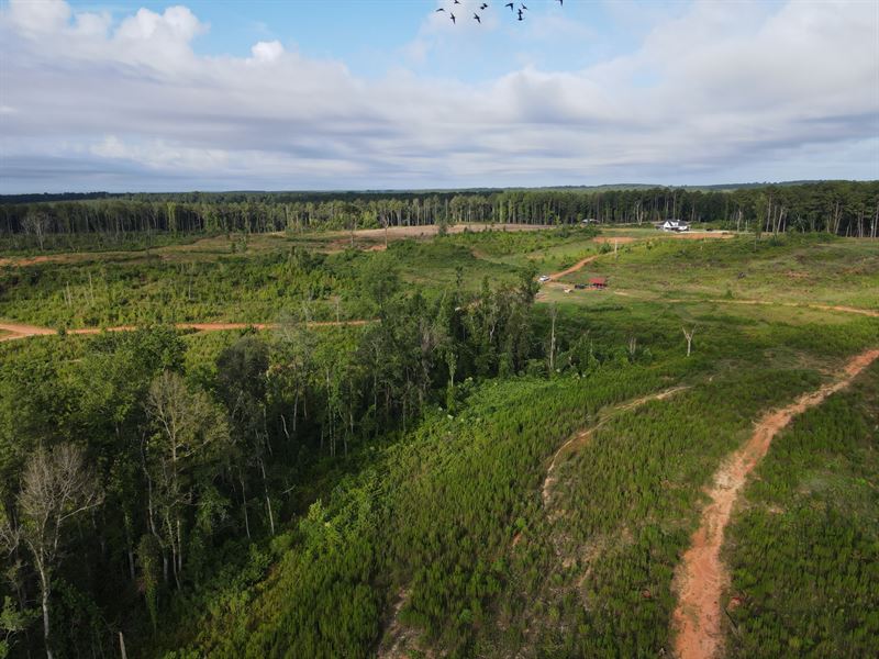 Smart Road Tract : Troy : Pike County : Alabama
