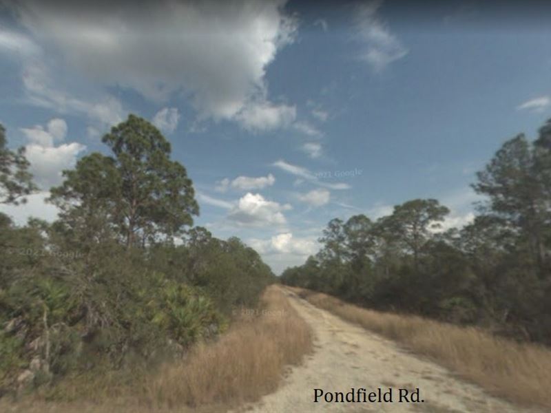 Don't Miss This Double Lot : Lake Placid : Highlands County : Florida