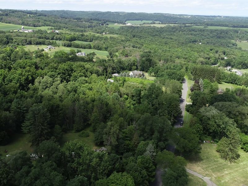 Wooded Building Lot, Easy Commute : Onondaga : Onondaga County : New York