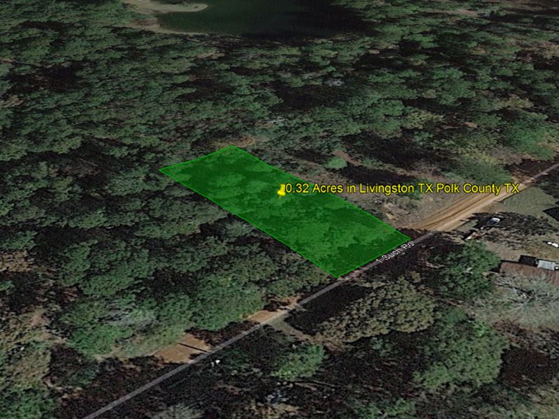 .32 Acre in Livingston, TX : Livingston : Polk County : Texas
