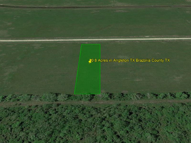 .8 Acre in Angleton, TX : Angleton : Brazoria County : Texas