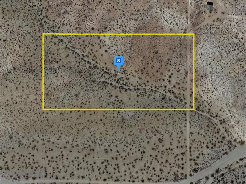 5 Acres in Dolan Springs : Dolan Springs : Mohave County : Arizona