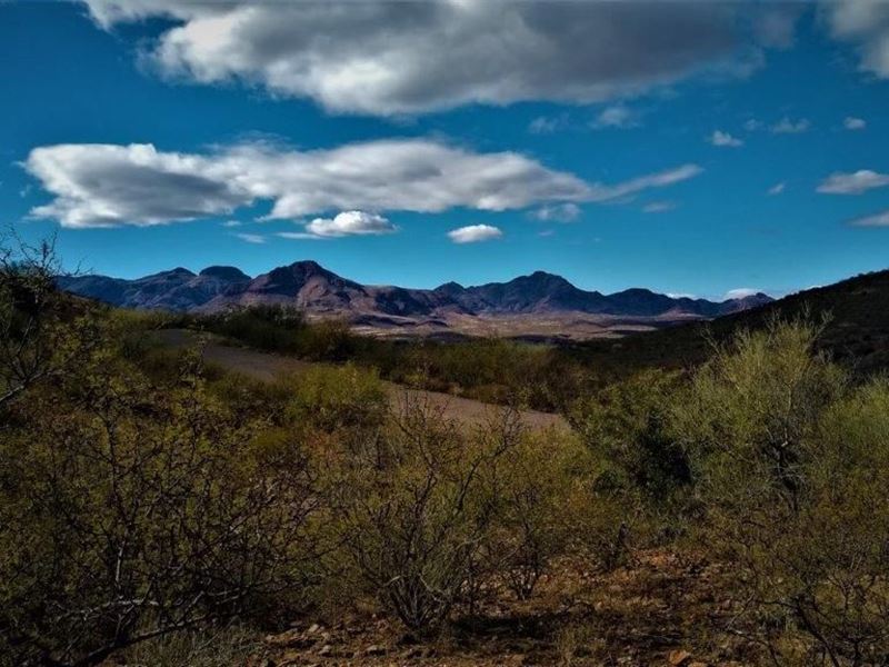 Blue Skies and Mountain Views : Rio Rico : Santa Cruz County : Arizona