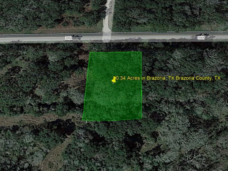 .34 Acre in Brazoria County, TX : Brazoria : Brazoria County : Texas