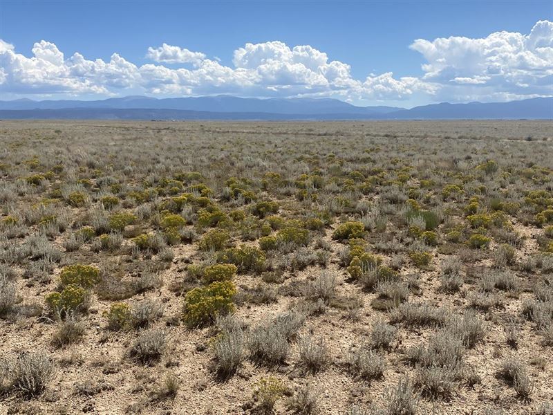 Stunning 5 Acres in San Luis Valley : San Luis : Costilla County : Colorado