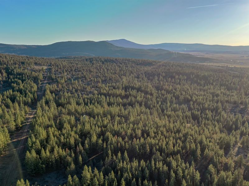 Go Camping or Build Your Dream Home : Beatty : Klamath County : Oregon
