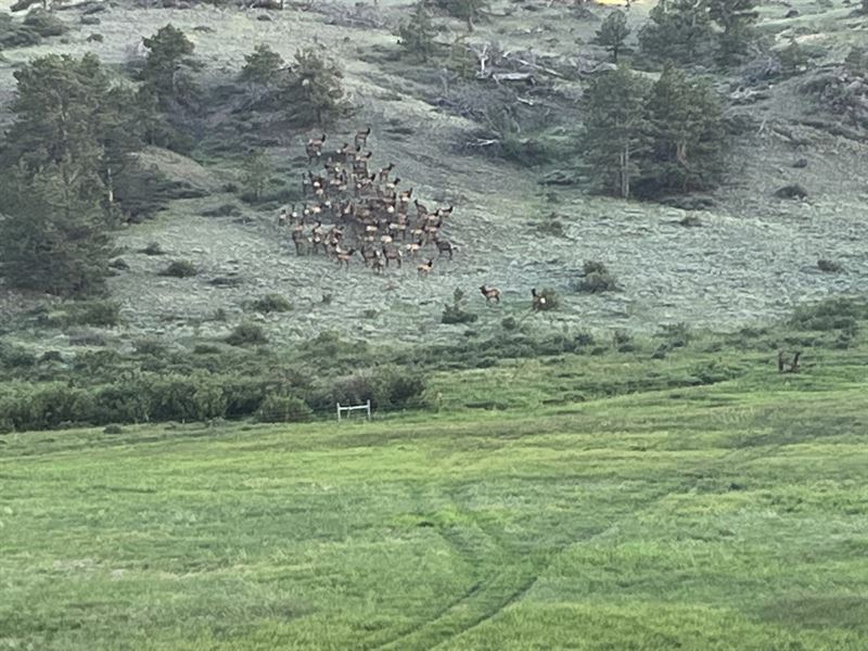 West Fork Ranch : Tie Siding : Albany County : Wyoming